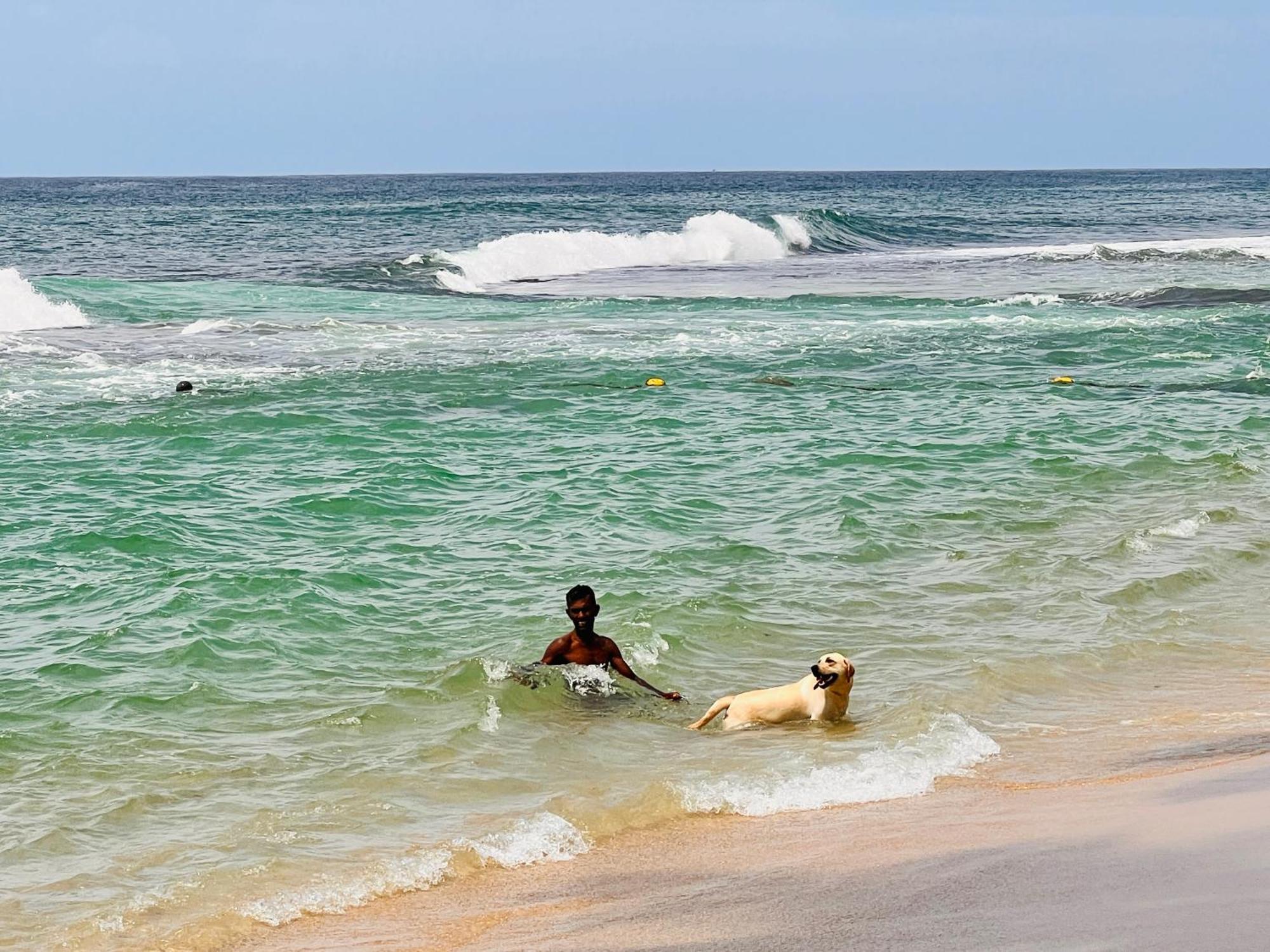 Ocean Front Villa Hikkaduwa Eksteriør bilde